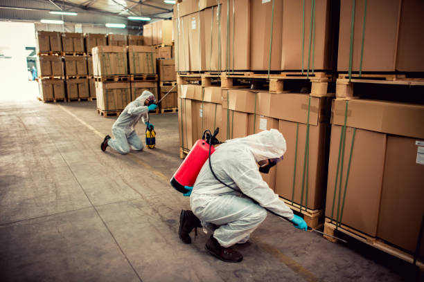 Best Bed Bug Extermination  in Hawkins, TX