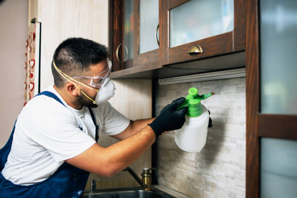 Best Best Pest Control Companies  in Hawkins, TX
