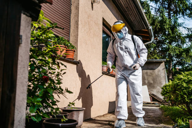 Best Pest Prevention Services  in Hawkins, TX