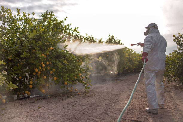 Best Exterminator Services  in Hawkins, TX