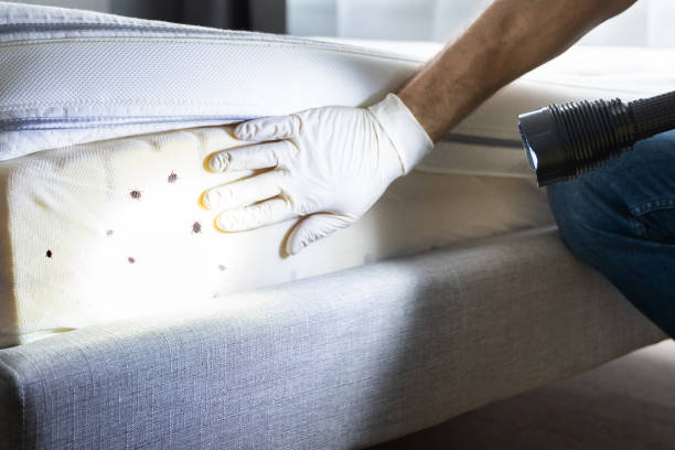 Best Wildlife Control Services  in Hawkins, TX