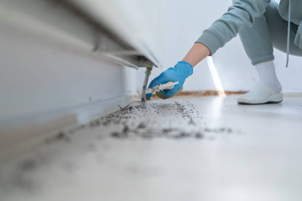 Trusted Hawkins, TX Pest Control Experts